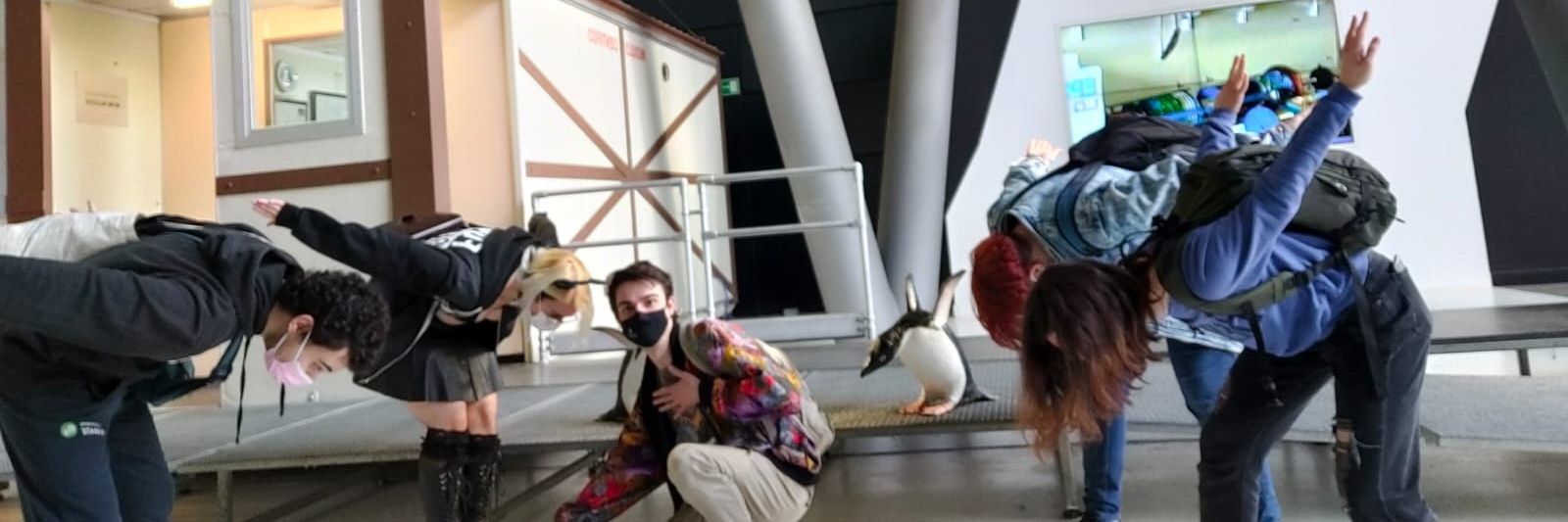 Barroth Porro banner