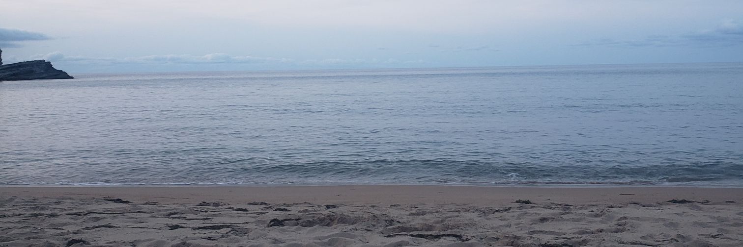 juliclebot's profile banner image