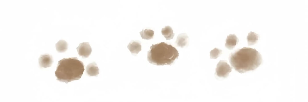 OwoCCC_'s profile banner image