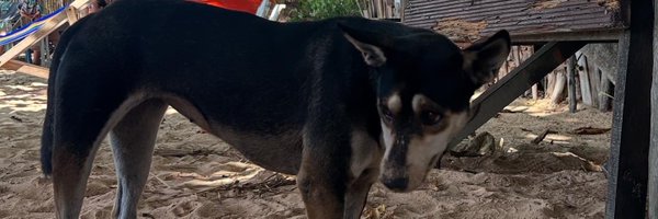Plaifahsrc555 Profile Banner