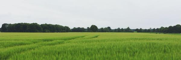 sannehelderman Profile Banner