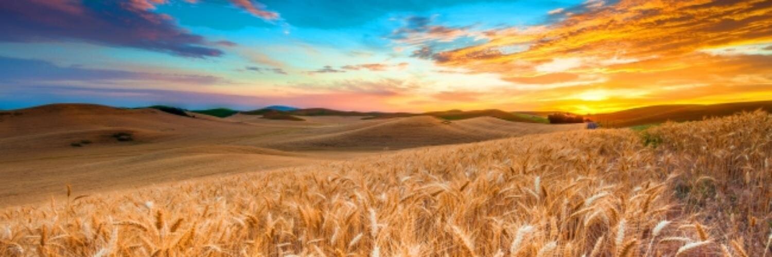 ApolForumSC's profile banner image