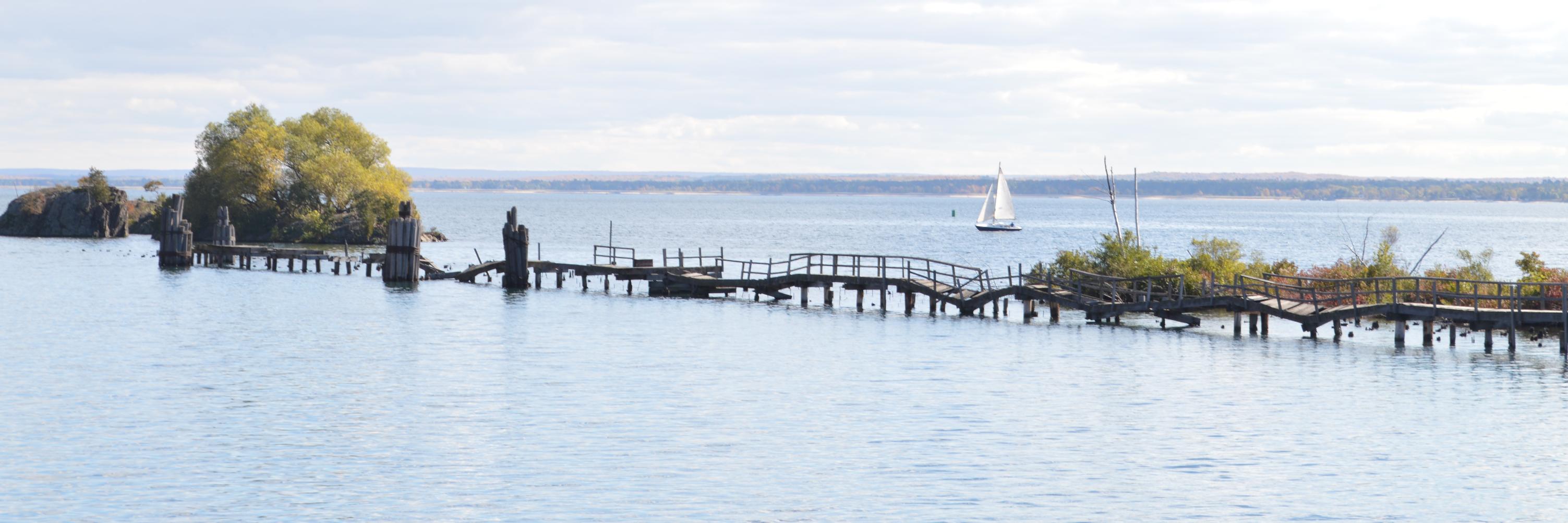 maureen_nagy's profile banner image