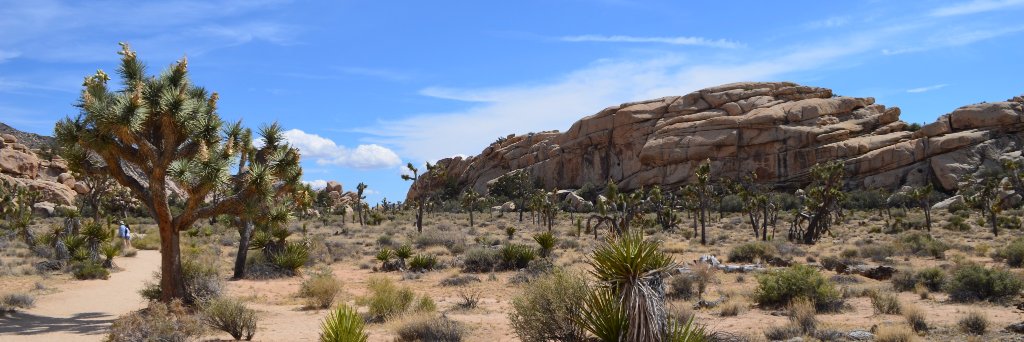 Victoria Raymond banner