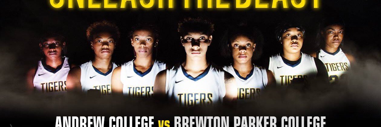 AndrewTigersWBB's profile banner image