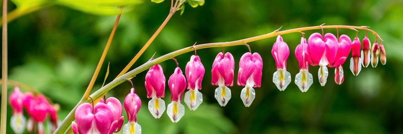 Mette Karslen banner