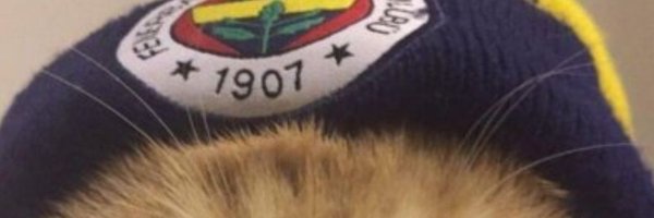 HumanSk28 Profile Banner