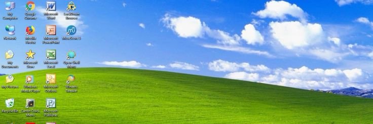 ER1CKTheFox's profile banner image