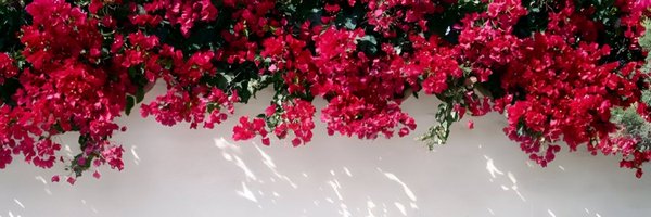 infinitack Profile Banner