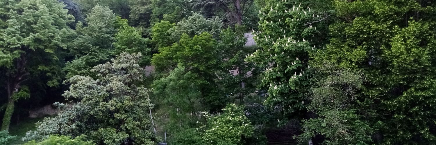 LacombeAnne1's profile banner image