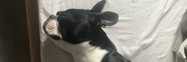 DrofletJess Profile Banner