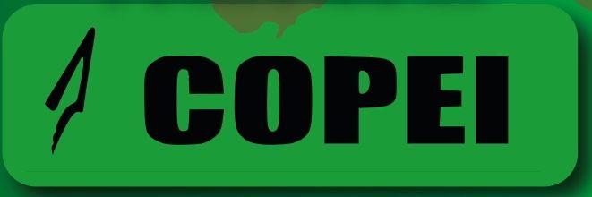 Copei_NE's profile banner image