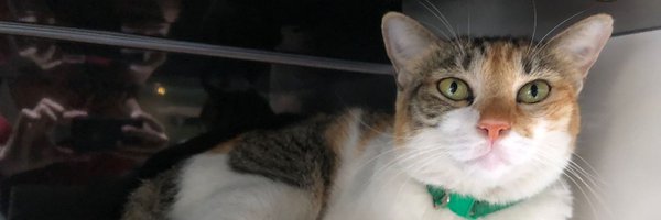 IgnasiJorro Profile Banner