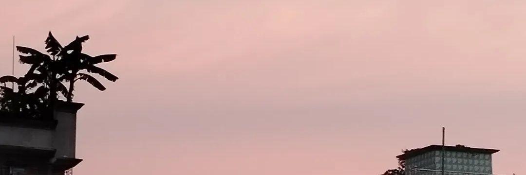 R@¥ Yaman banner
