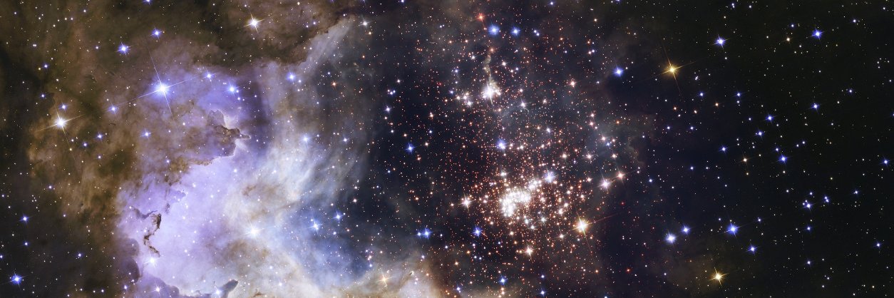 Lais Baptista banner