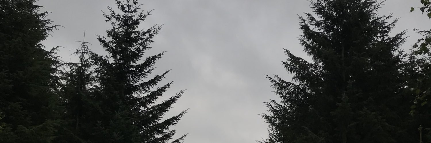 hollyegsb's profile banner image