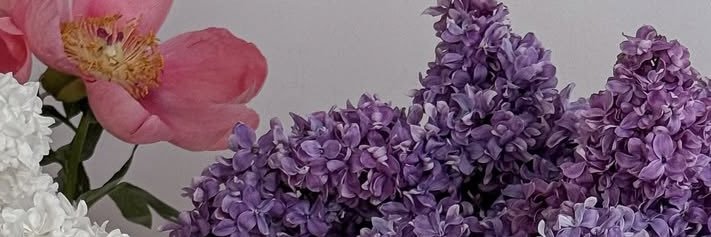 _moonmomo's profile banner image