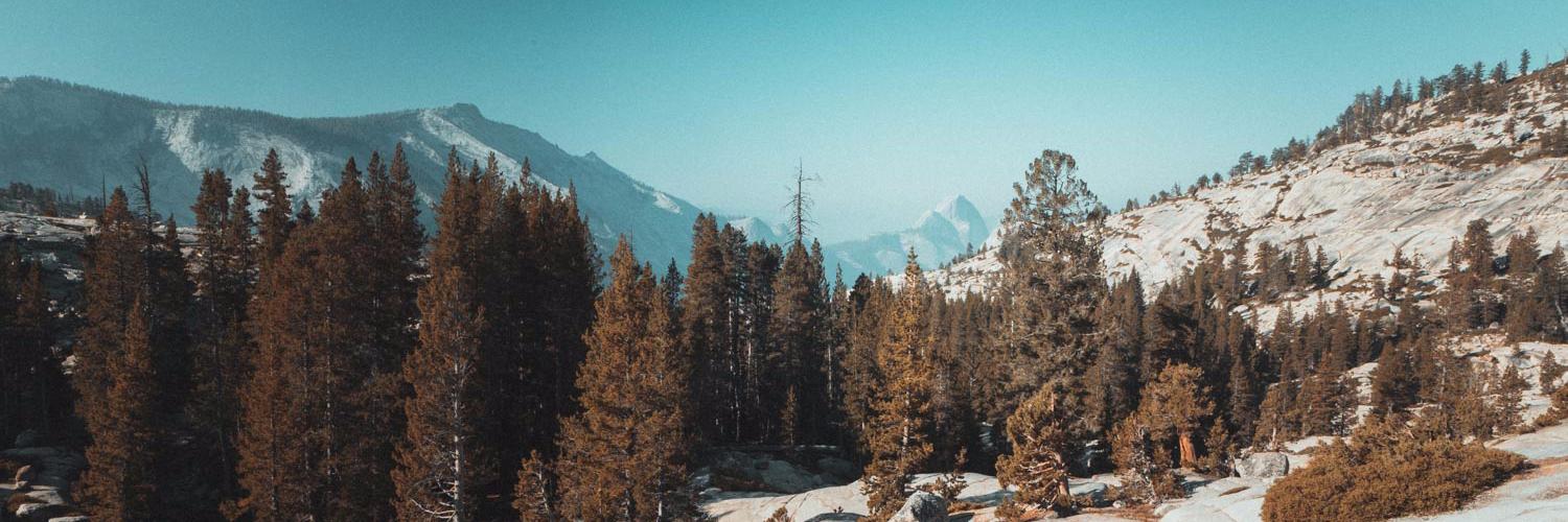 Royvanderwens's profile banner image
