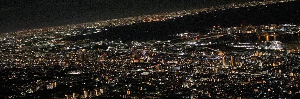 ドックフード banner