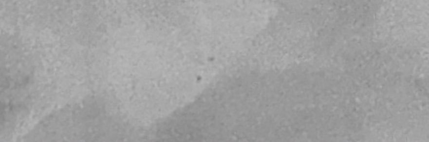 ZZ banner