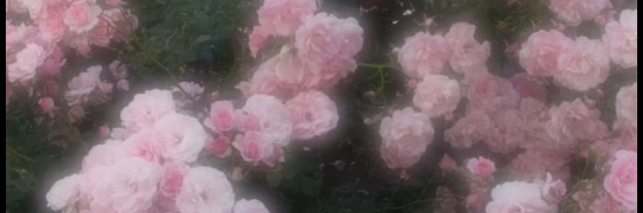 aii_s26's profile banner image