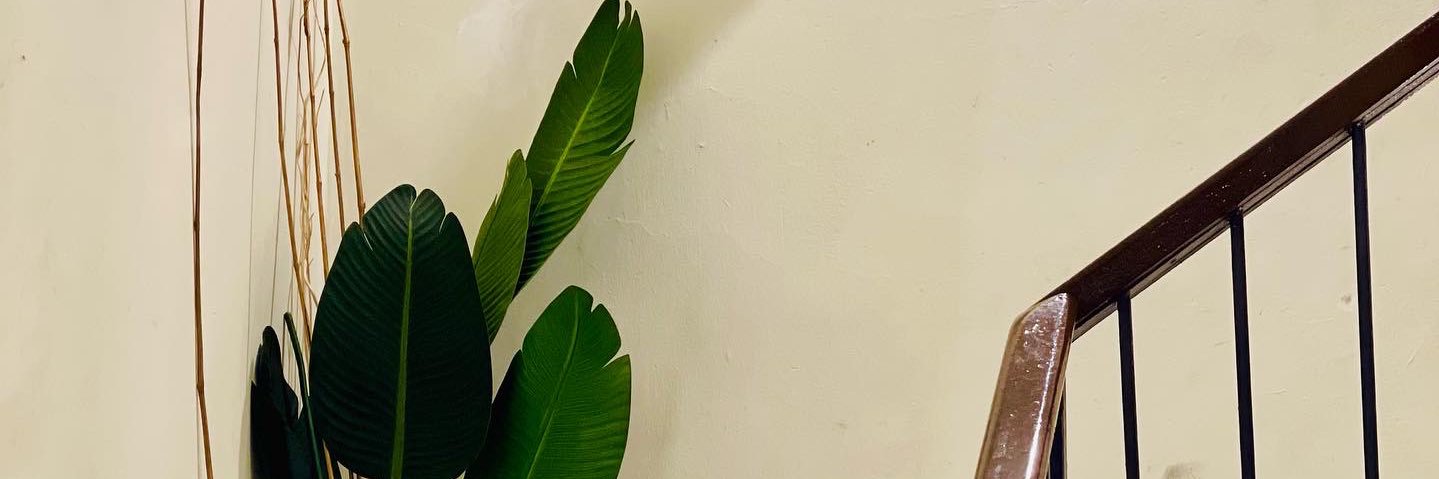 yoyy_'s profile banner image