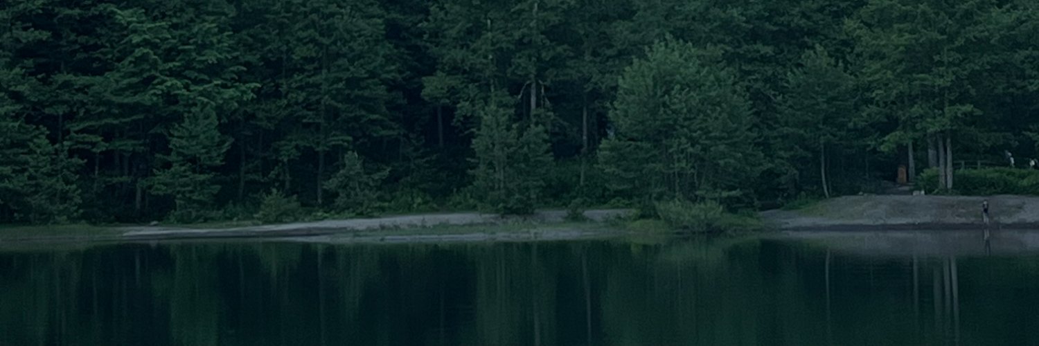 paracekici's profile banner image