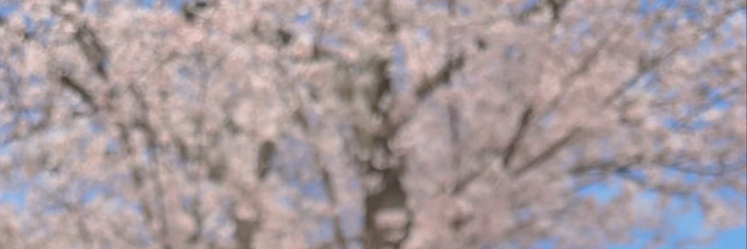 人間🐈🐱 banner