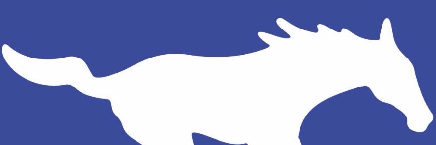 Aaron Stein banner