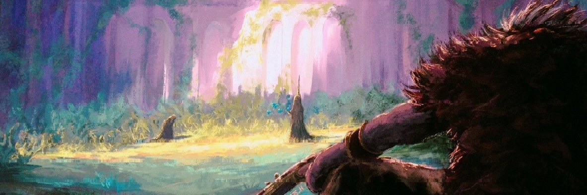 Roks D zeppeli banner