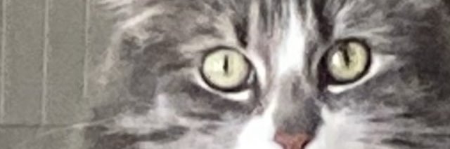 Sara Smith banner