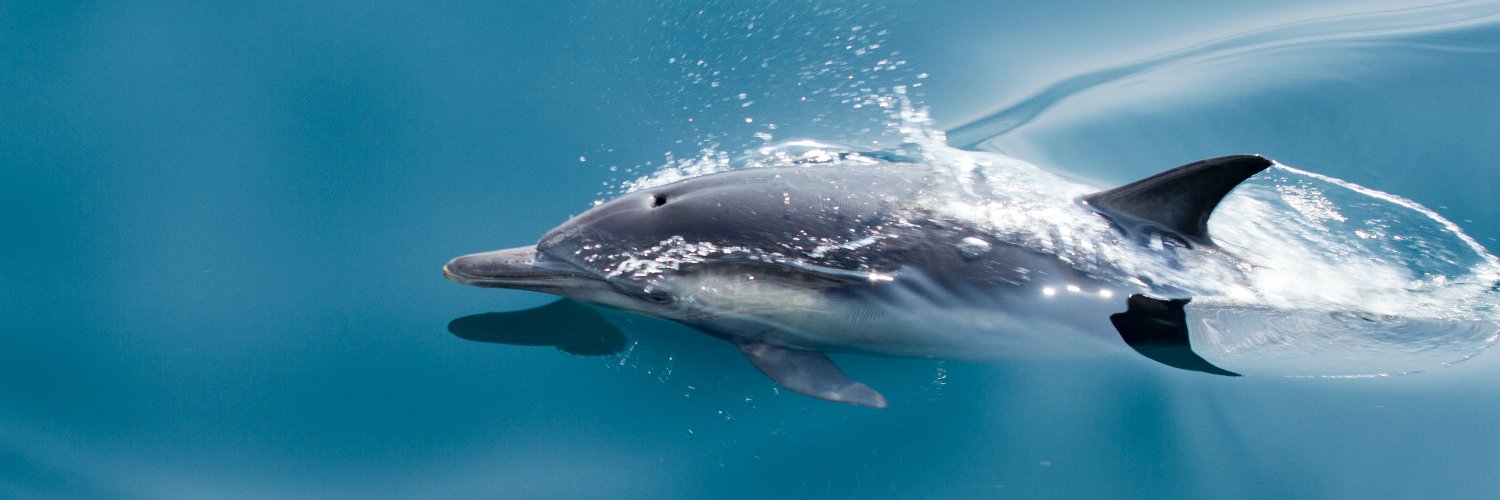 Santa Barbara Channelkeeper banner
