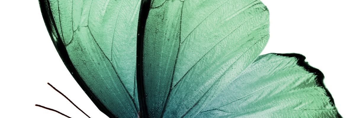 FatimaFa30783's profile banner image