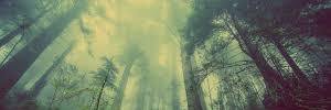 done_all's profile banner image