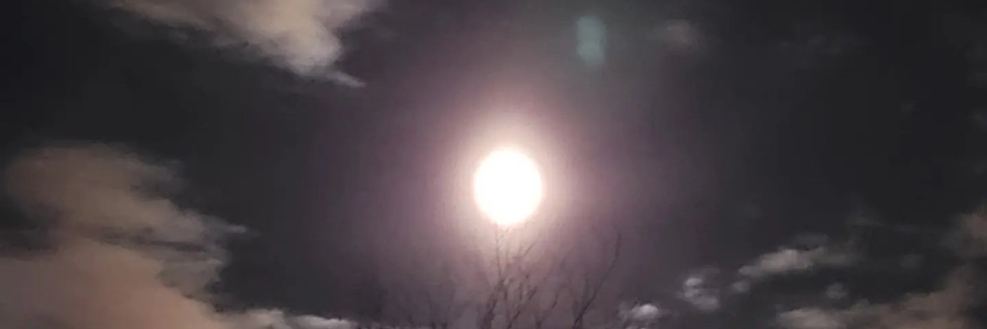 darkskeleton666's profile banner image