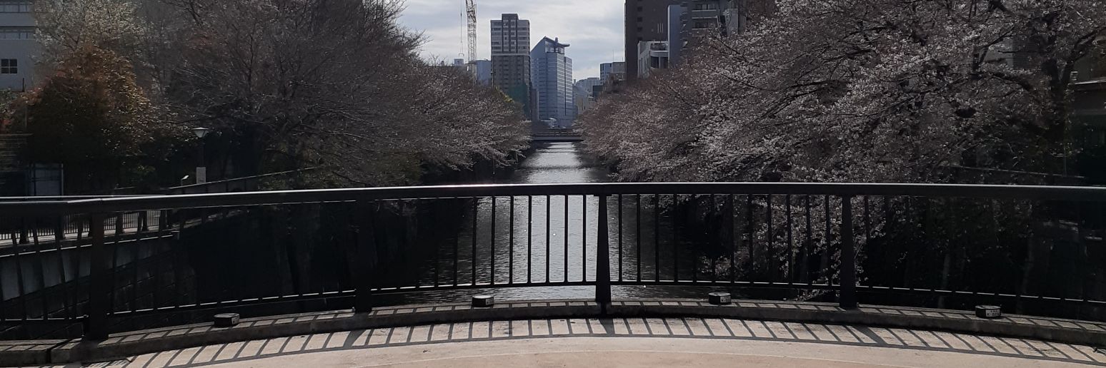 nishipppe's profile banner image