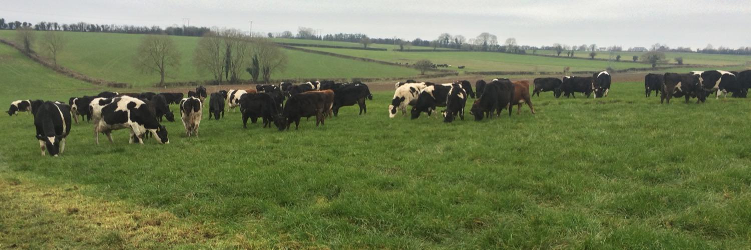 Tack365's profile banner image