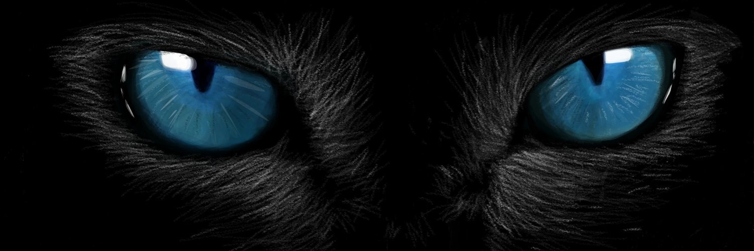 ECO_Dark55's profile banner image