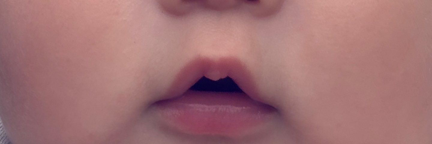 すぅ☺︎ 🍉𝟠𝕄🦕 banner