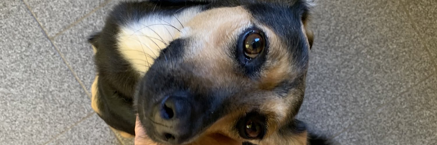 RRRLeticia's profile banner image