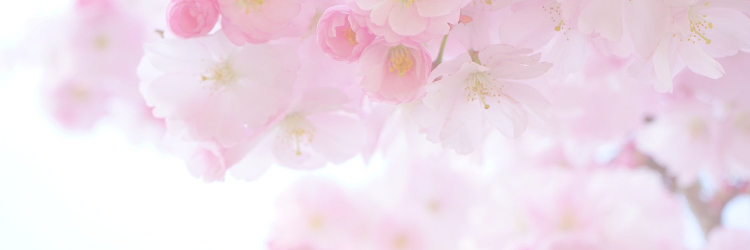 nexstepscanada's profile banner image