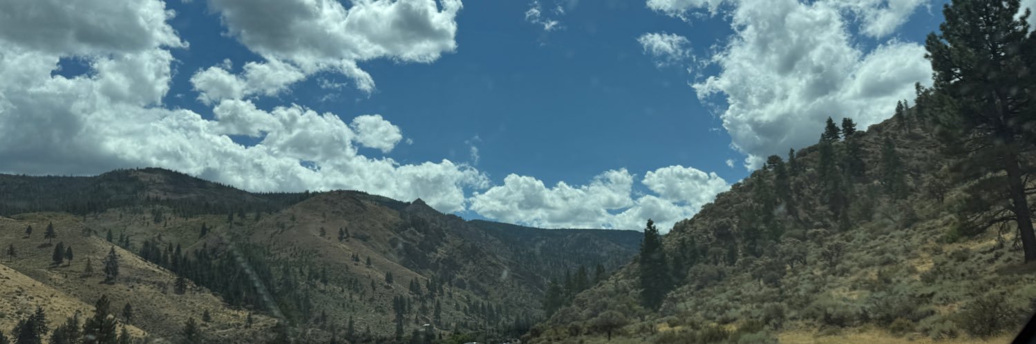 Lyliveee's profile banner image