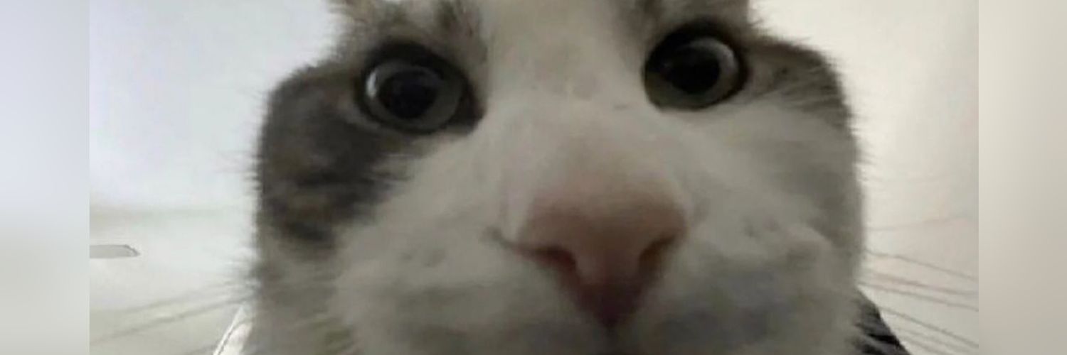 Edit To Configure banner