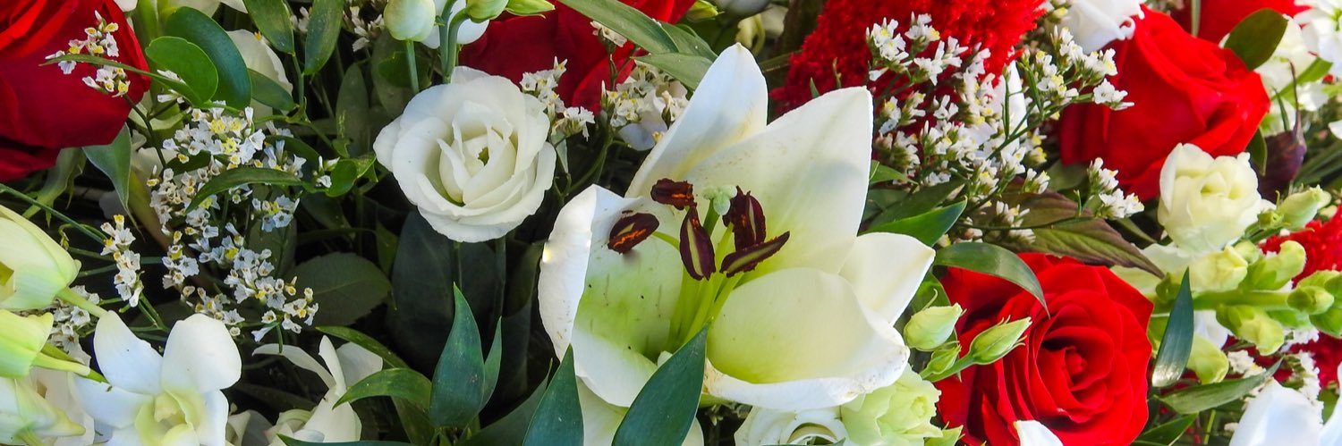 flowerbud13's profile banner image