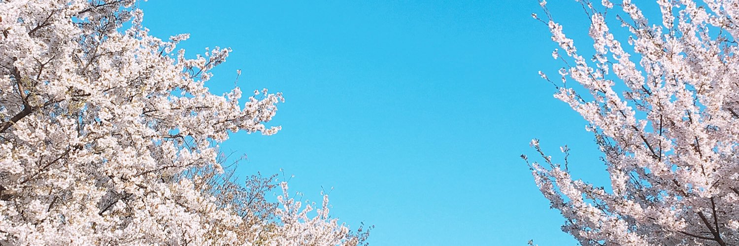 arcturus3719's profile banner image