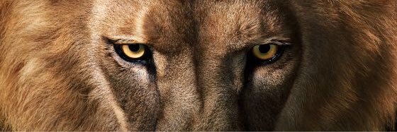 Marquitos141's profile banner image