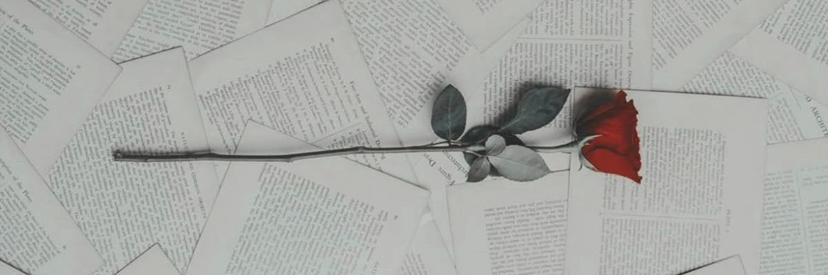 🌹 banner