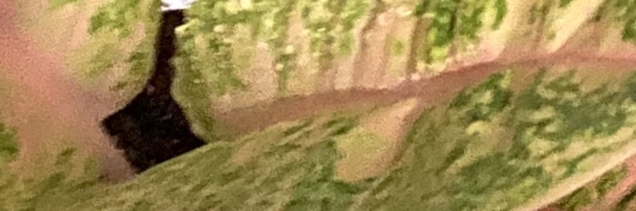 Bagyo banner