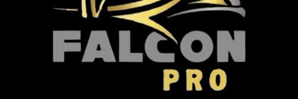 FalconPro74 Profile Banner