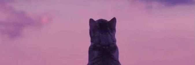 kkokphoria's profile banner image